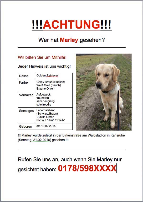 Steckbrief-Muster---Hund-wird-vermisst