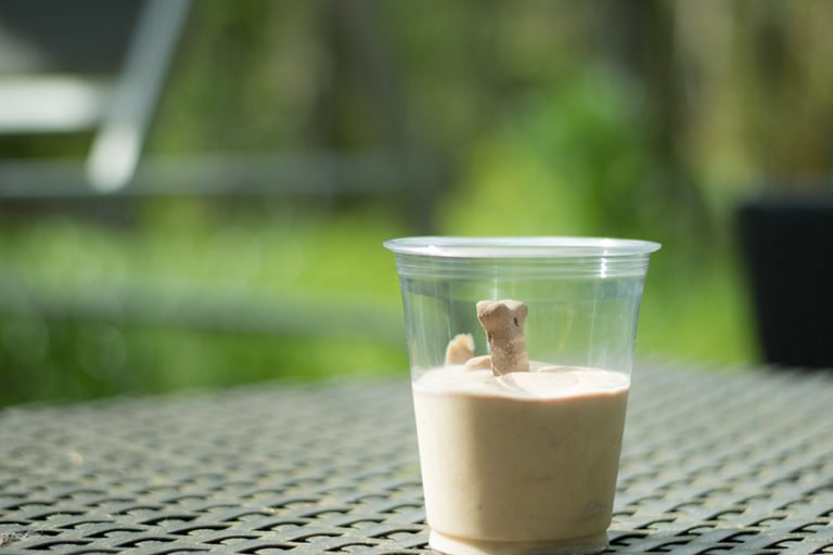 Hundeeis & Hundekekse Leckere Rezepte für Deinen Hund
