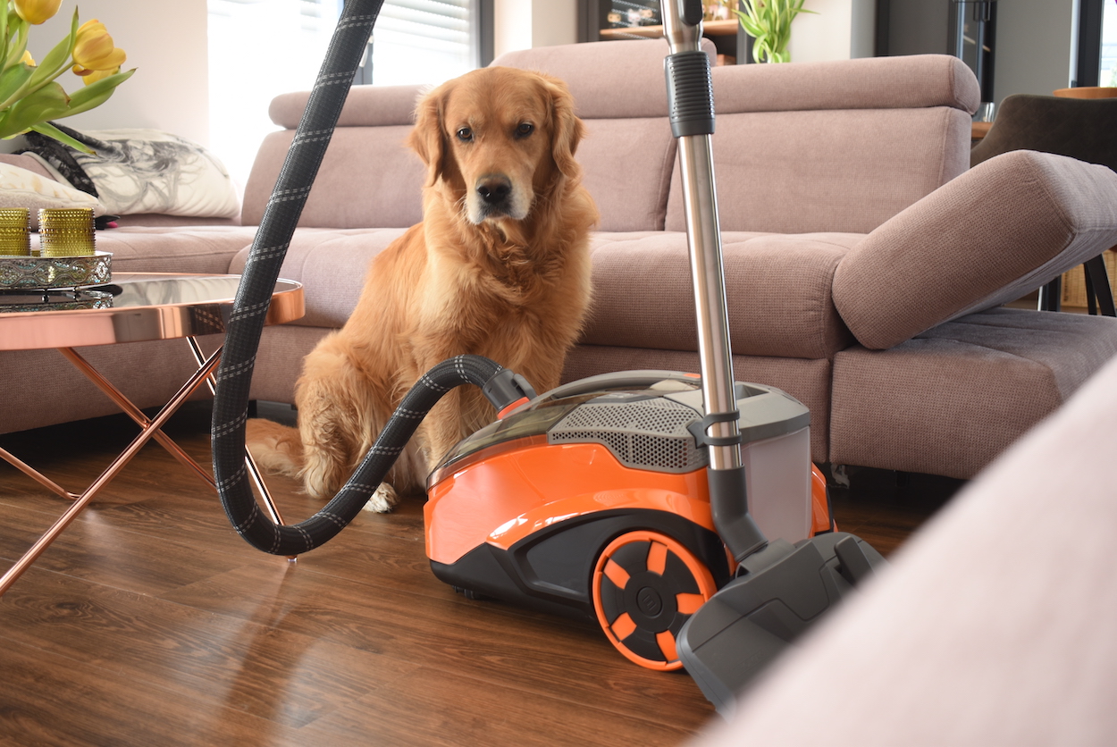 Tierhaarstaubsauger THOMAS AQUA + Pet & Family Parquet Pro im Test ...